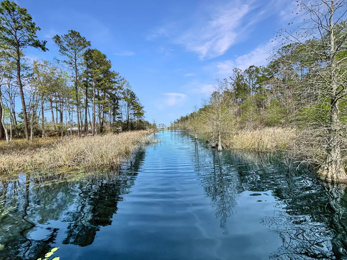 1420 Pinopolis Road, Moncks Corner, SC 29461 - #1