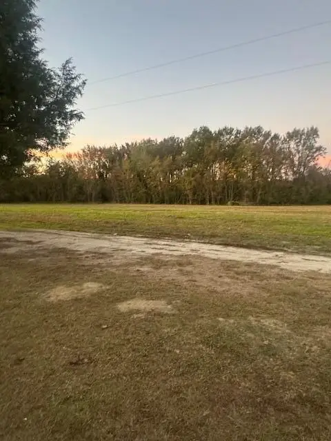 2532 Mg Hemingway Road, Summerton, SC 29148 - #2