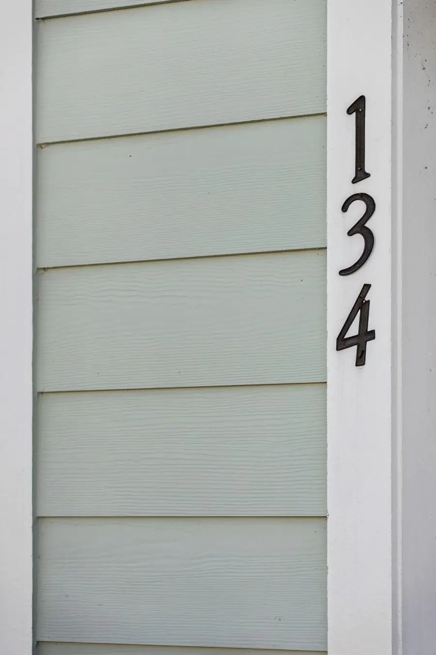 134 Orchid Bloom Circle, Moncks Corner, SC 29461 - #2