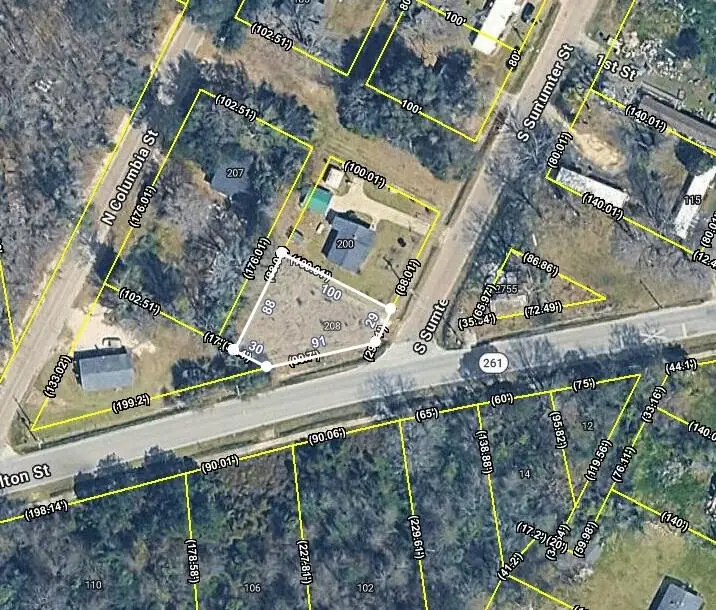 208 S Sumter Street, Pinewood, SC 29125 - #1