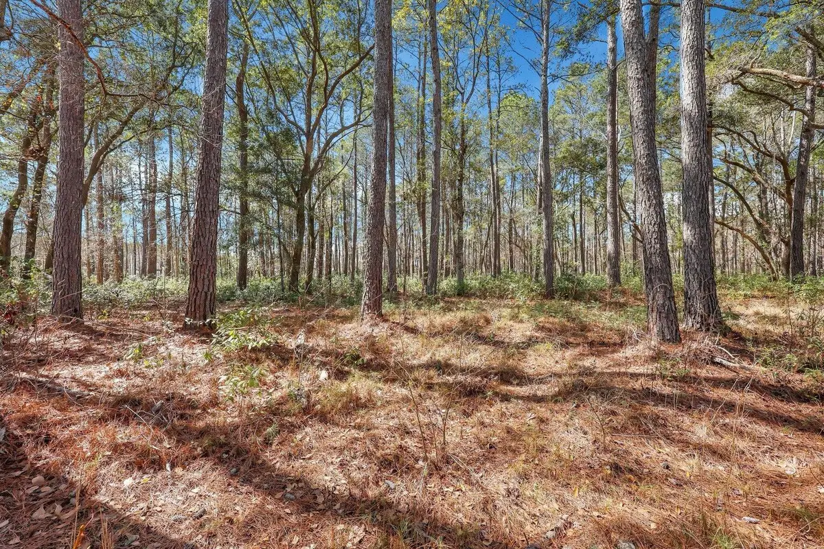 1010 Towhee Lane, McClellanville, SC 29458 - #1