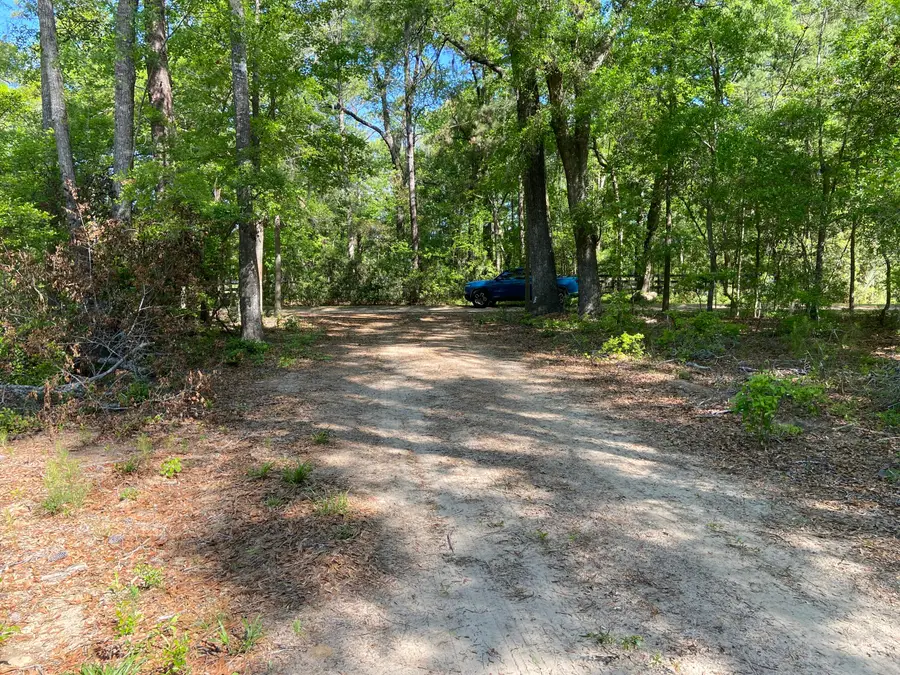6079 Josie Ridge Road, Wadmalaw Island, SC 29487 - #3