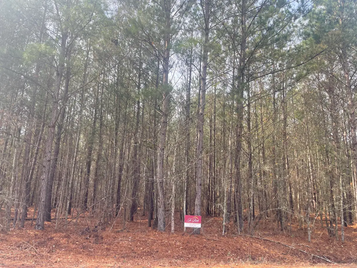 125 Roper Circle, Orangeburg, SC 29115 - #1