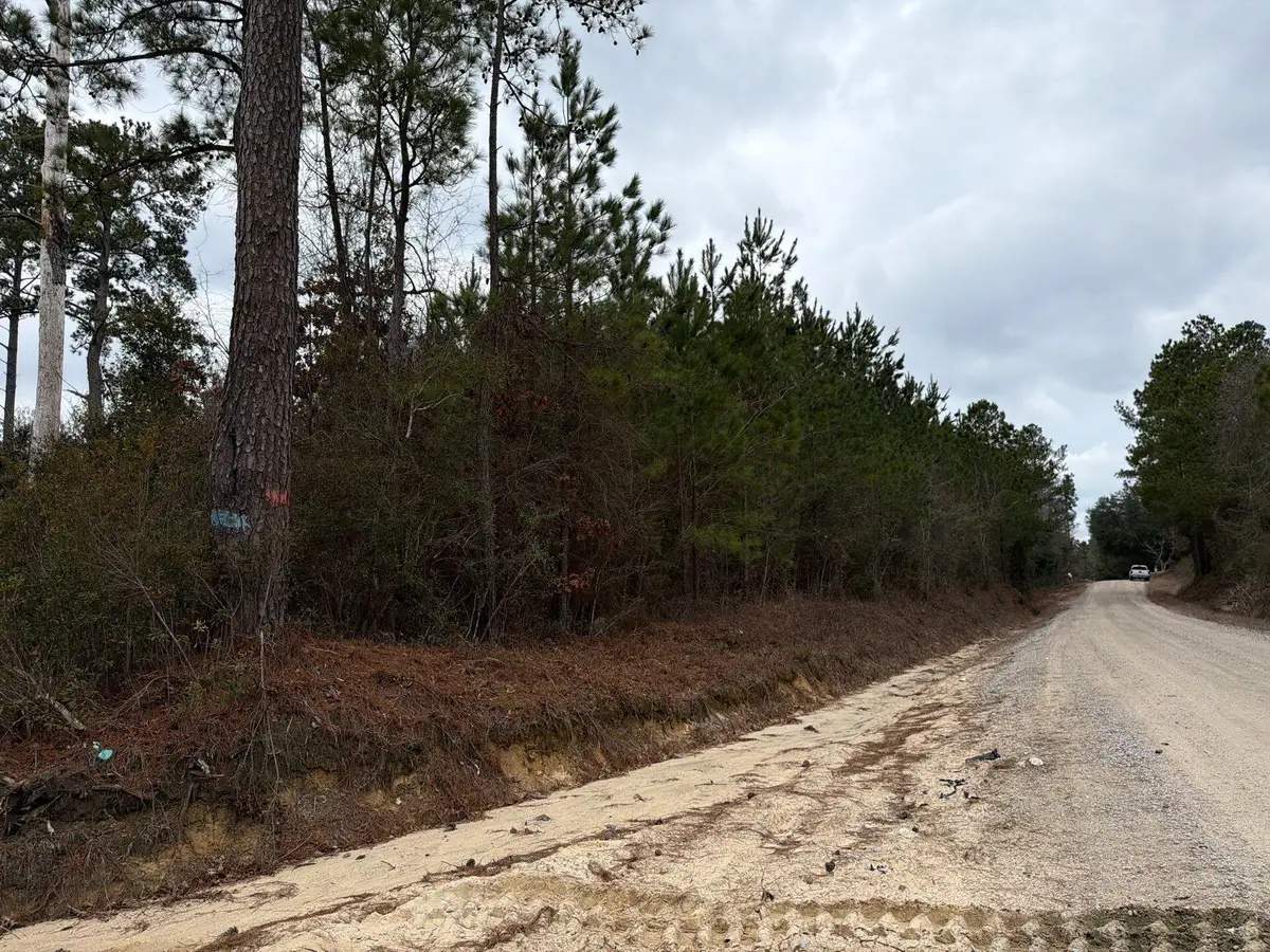 Bff Ii 2 J C Barefoot Road #Bff Ii 2, Patrick, SC 29584 - #1