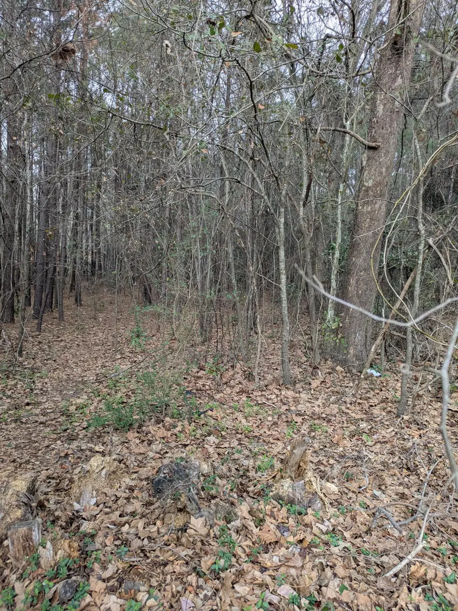 0 N Jefferies Boulevard, Walterboro, SC 29488 - #2