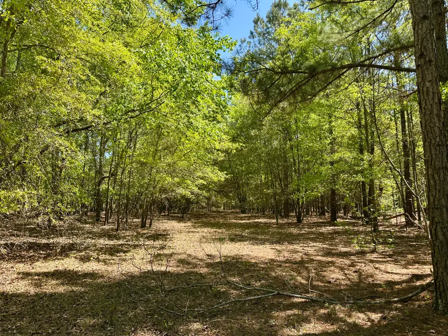 3021 Salley Road, Salley, SC 29137 - #3