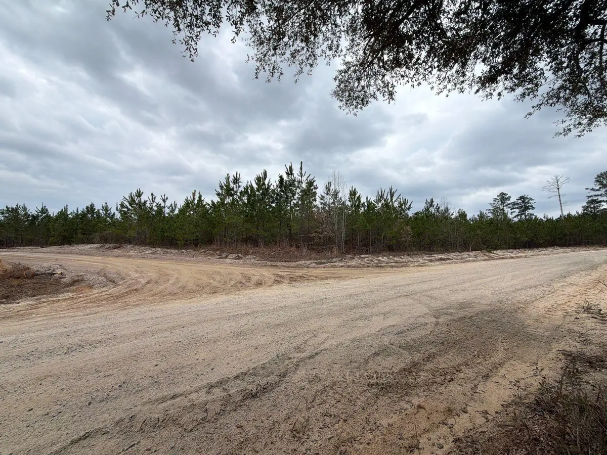 Bff Ii 5 Brunson Teal Rd Road, Patrick, SC 29584 - #1