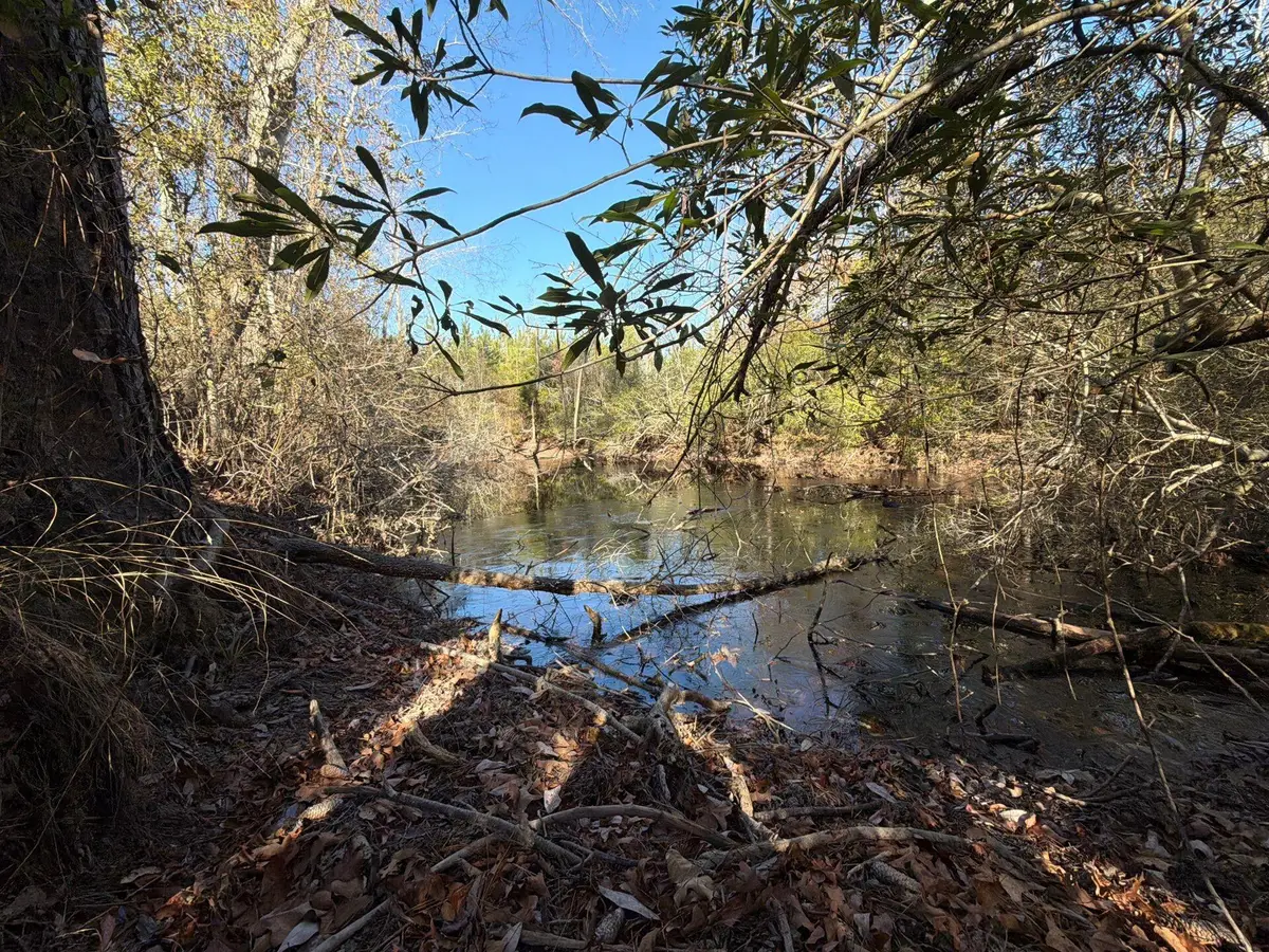 Bff Ii 7 Brunson Teal Rd Road, Patrick, SC 29584 - #1