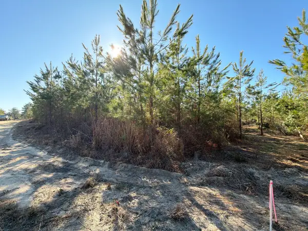 Bff Ii 8 Brunson Teal Rd Road, Patrick, SC 29584