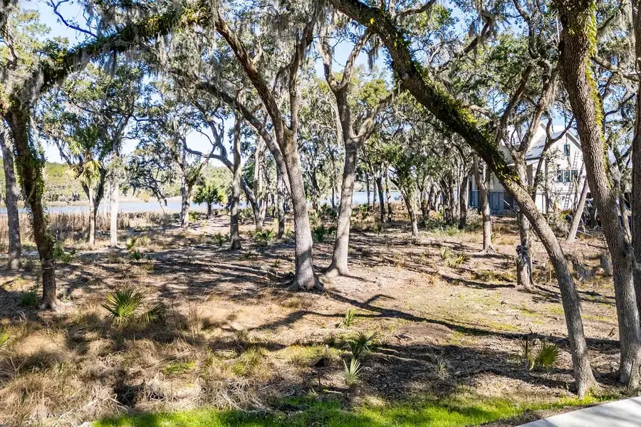 8111 Jack Island Drive, Johns Island, SC 29455 - #3