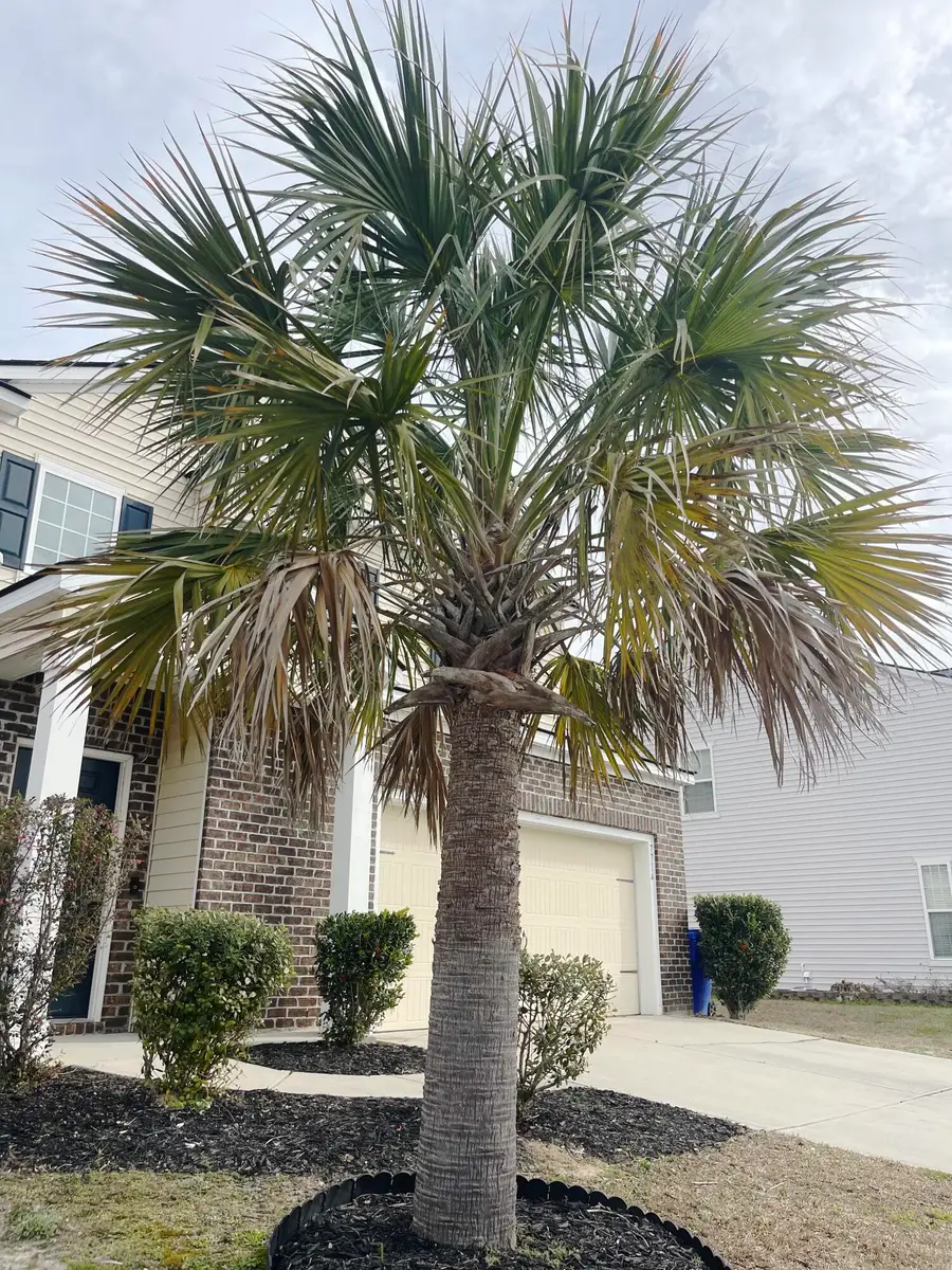 7714 High Maple Circle, North Charleston, SC 29418 - #3