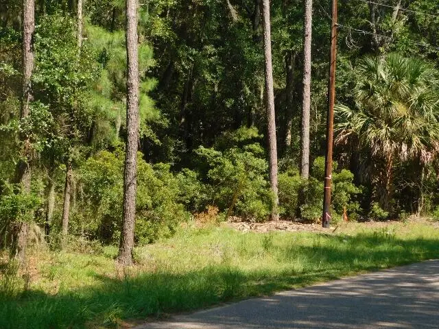8662 Palmetto Road, Edisto Island, SC 29438 - #1
