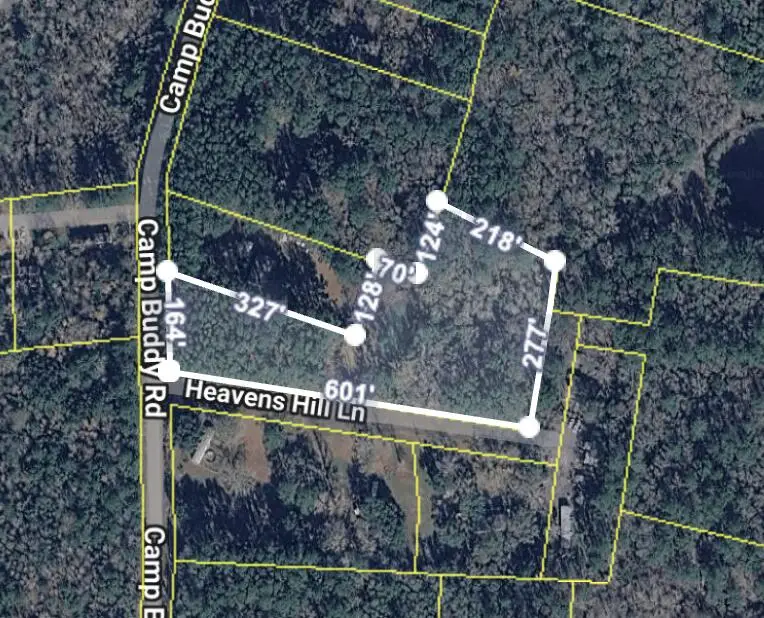 00 Camp Buddy Road, Ridgeville, SC 29472 - #1