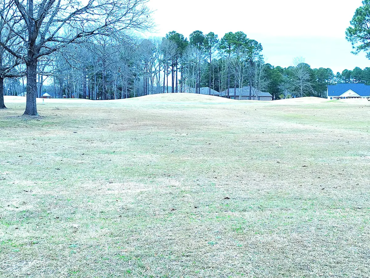 40 North Lake Circle, Manning, SC 29102 - #1