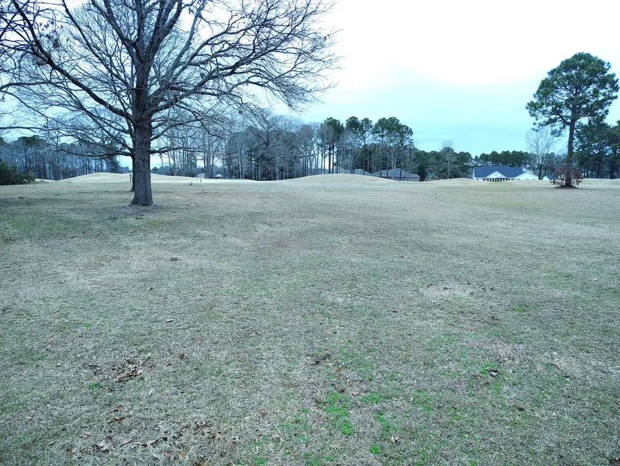 40 North Lake Circle, Manning, SC 29102 - #2