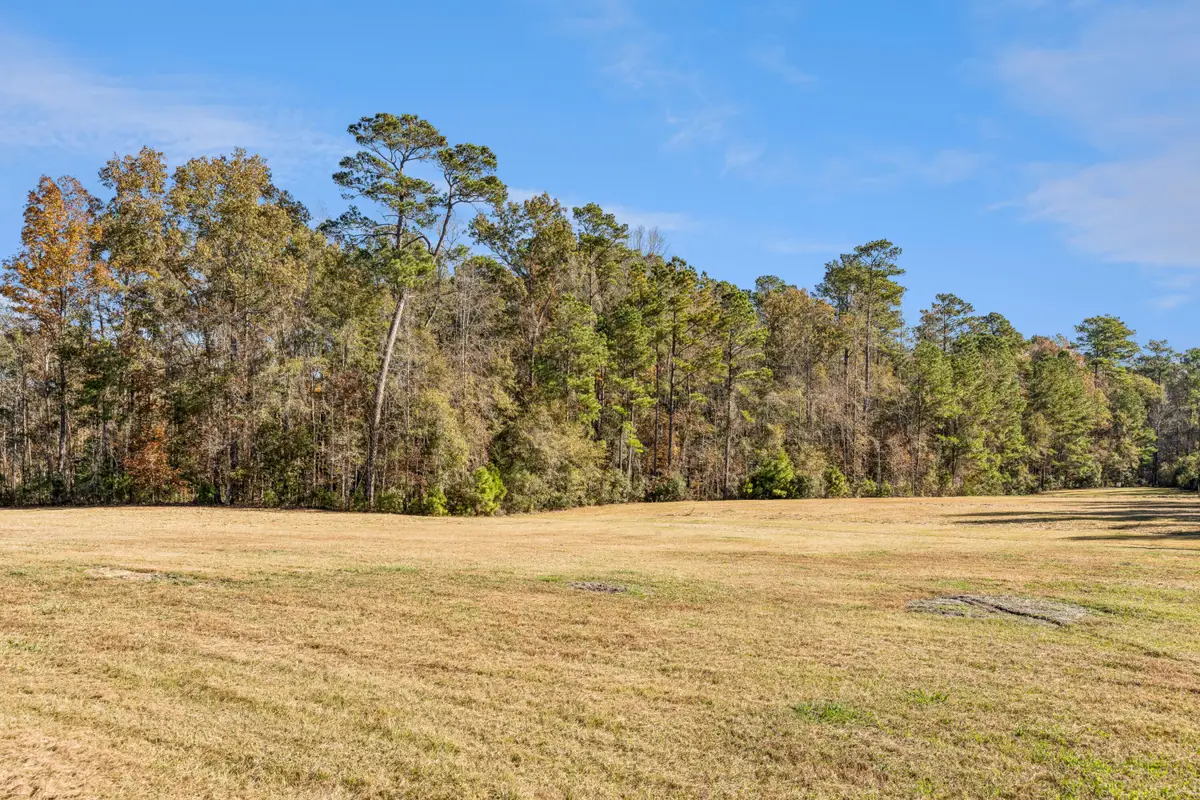 1640 Calamus Pond Road, Summerville, SC 29486 - #1