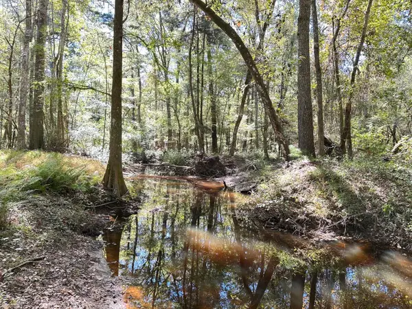 0 Big Bird Lane, Summerville, SC 29483