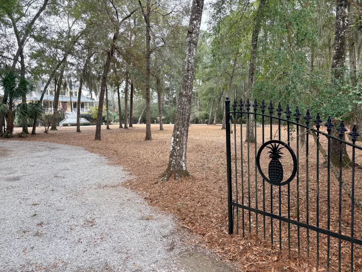 8970 Palmetto Road, Edisto Island, SC 29438 - #1