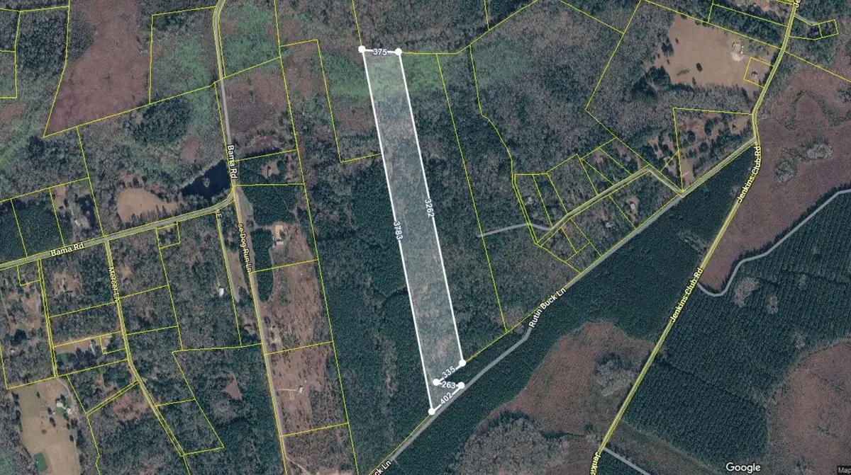 0 Rutin Buck Lane, Cottageville, SC 29435 - #1