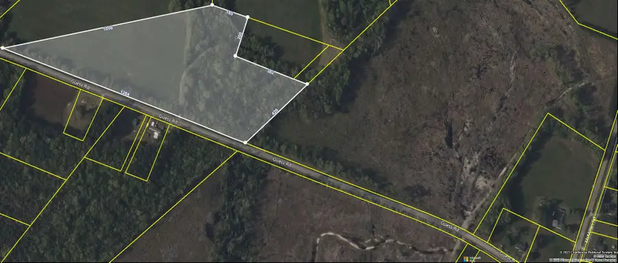 0 Guess Road, Greeleyville, SC 29056 - #2