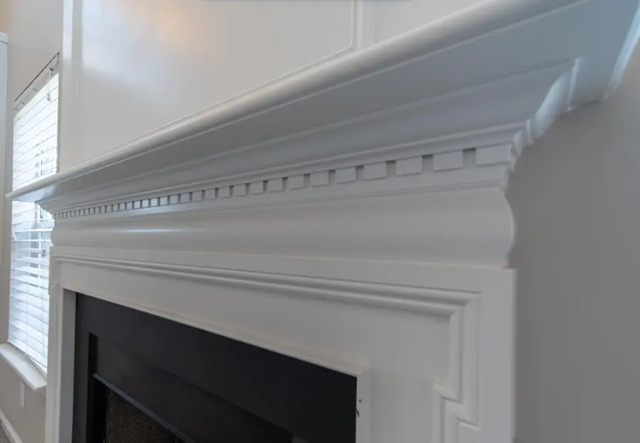 4833 Shady Tree Lane, Summerville, SC 29485 - #3