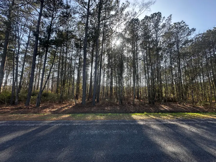 801 Gar Road, Smoaks, SC 29481 - #2
