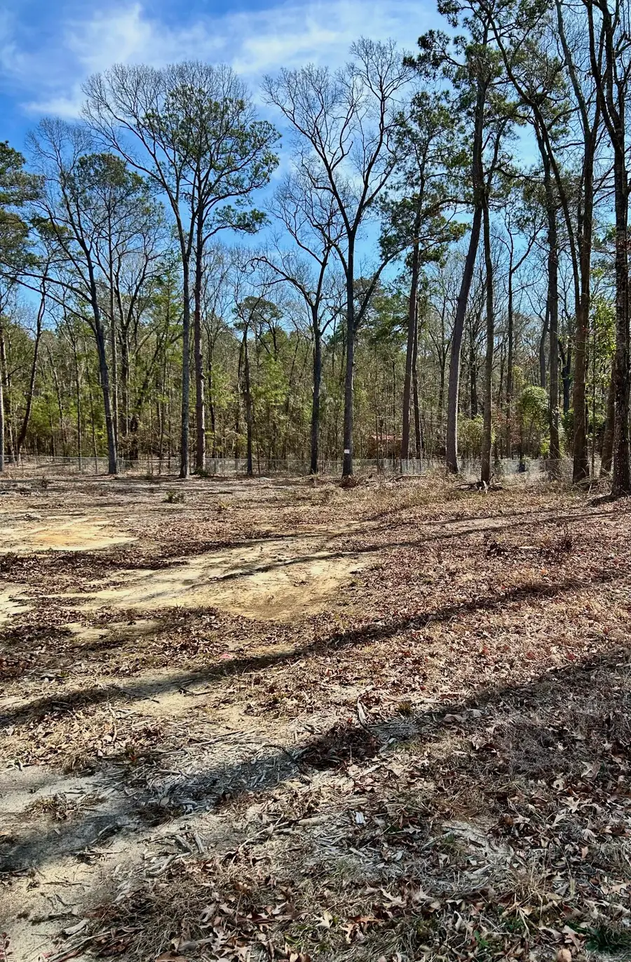 1498 Stukes Road, Manning, SC 29102 - #3