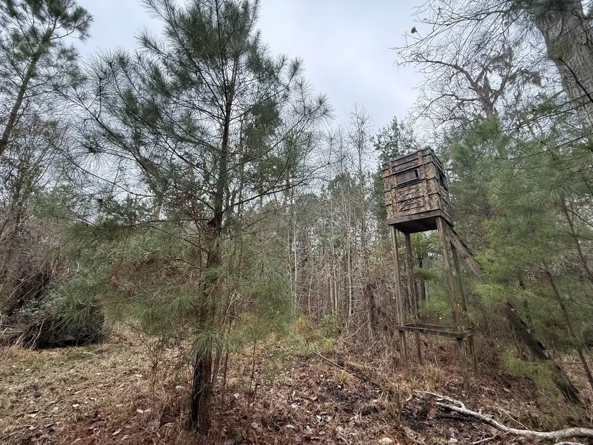 9750 Cottageville Highway, Cottageville, SC 29435 - #1