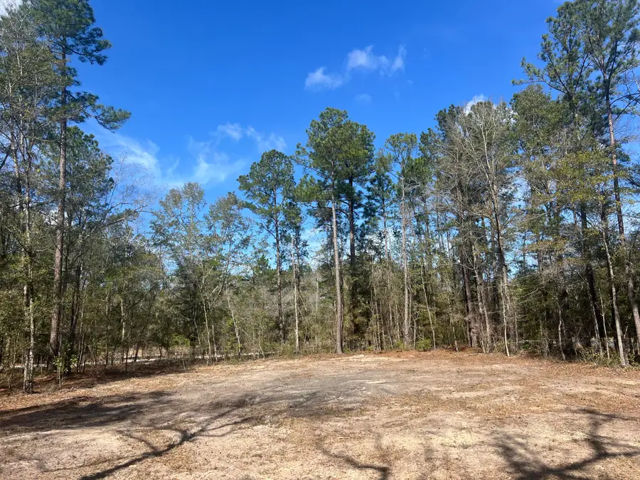1969 Beach Road, Walterboro, SC 29488 - #2