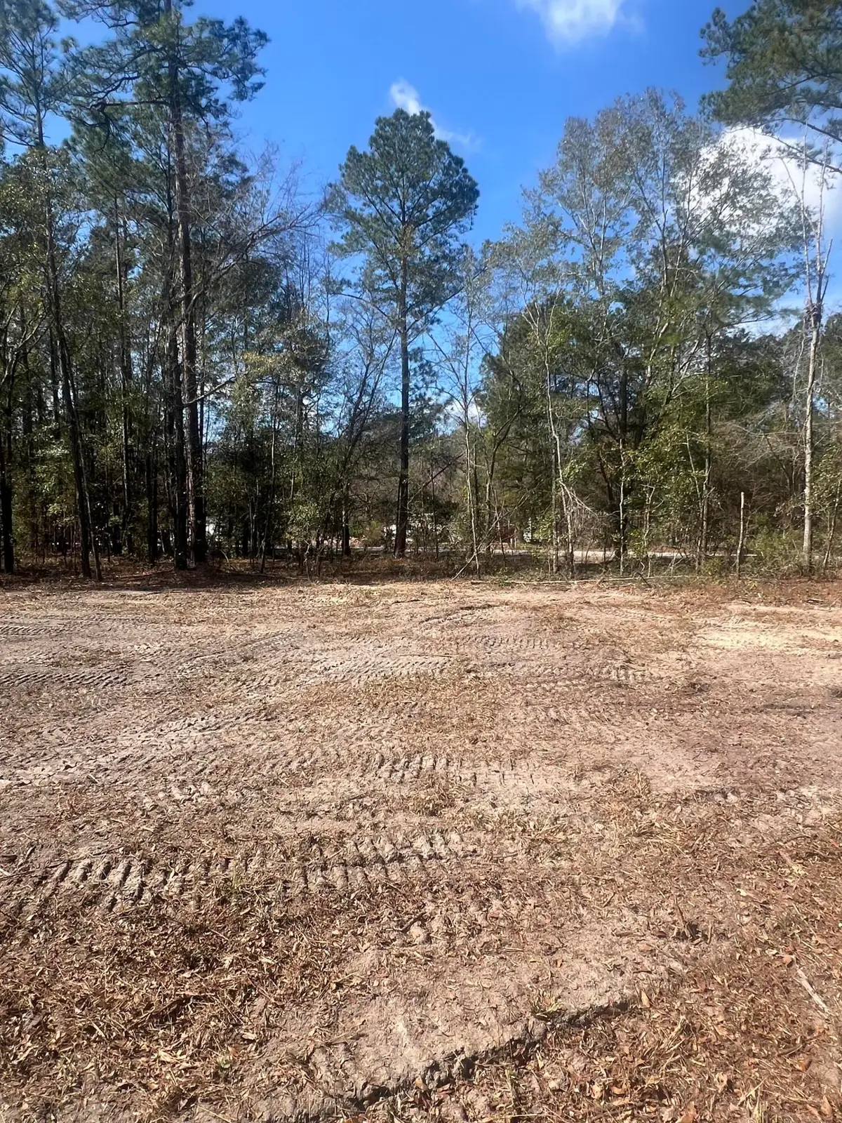 2009 Beach Road, Walterboro, SC 29488 - #1