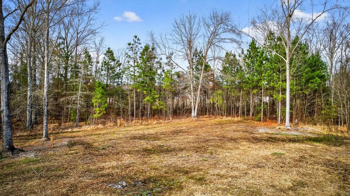 122 Chapel Cross Road, Vance, SC 29163 - #1