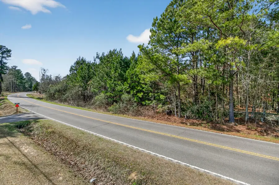 00 E Butternut Road, Summerville, SC 29483 - #3