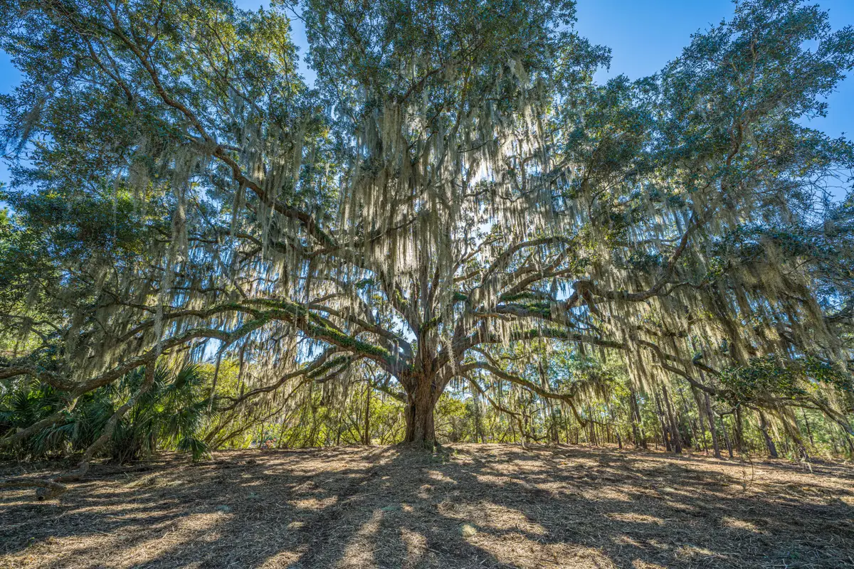 4129 Gnarled Oaks Lane, Johns Island, SC 29455 - #1