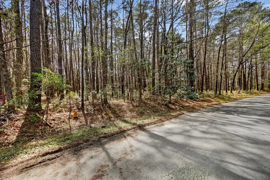 103 Caveson Drive, Summerville, SC 29483 - #3