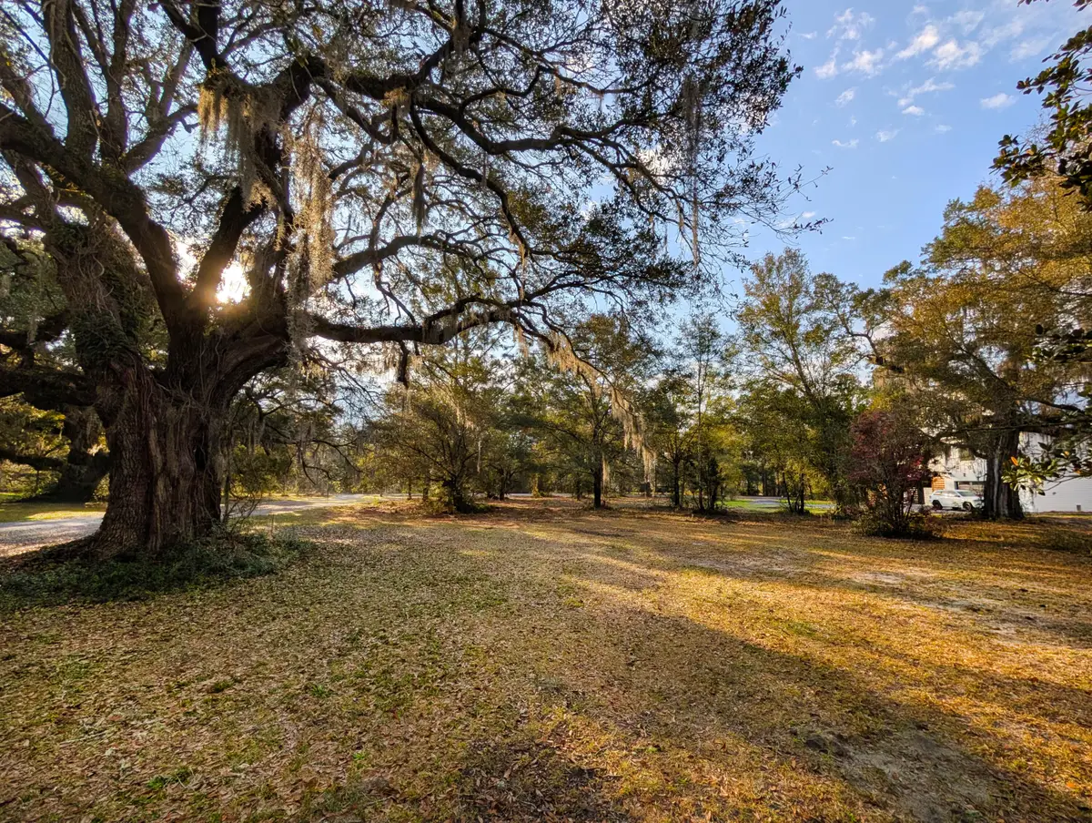 1020 Pinckney Street, McClellanville, SC 29458 - #1