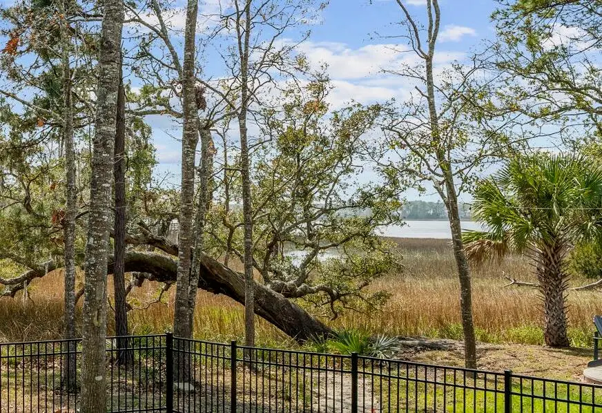 132 Low Tide Court, Charleston, SC 29492 - #3