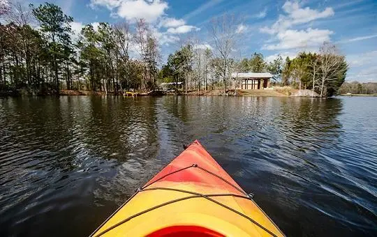 135 Sea Oats Street, Summerville, SC 29485 - #3