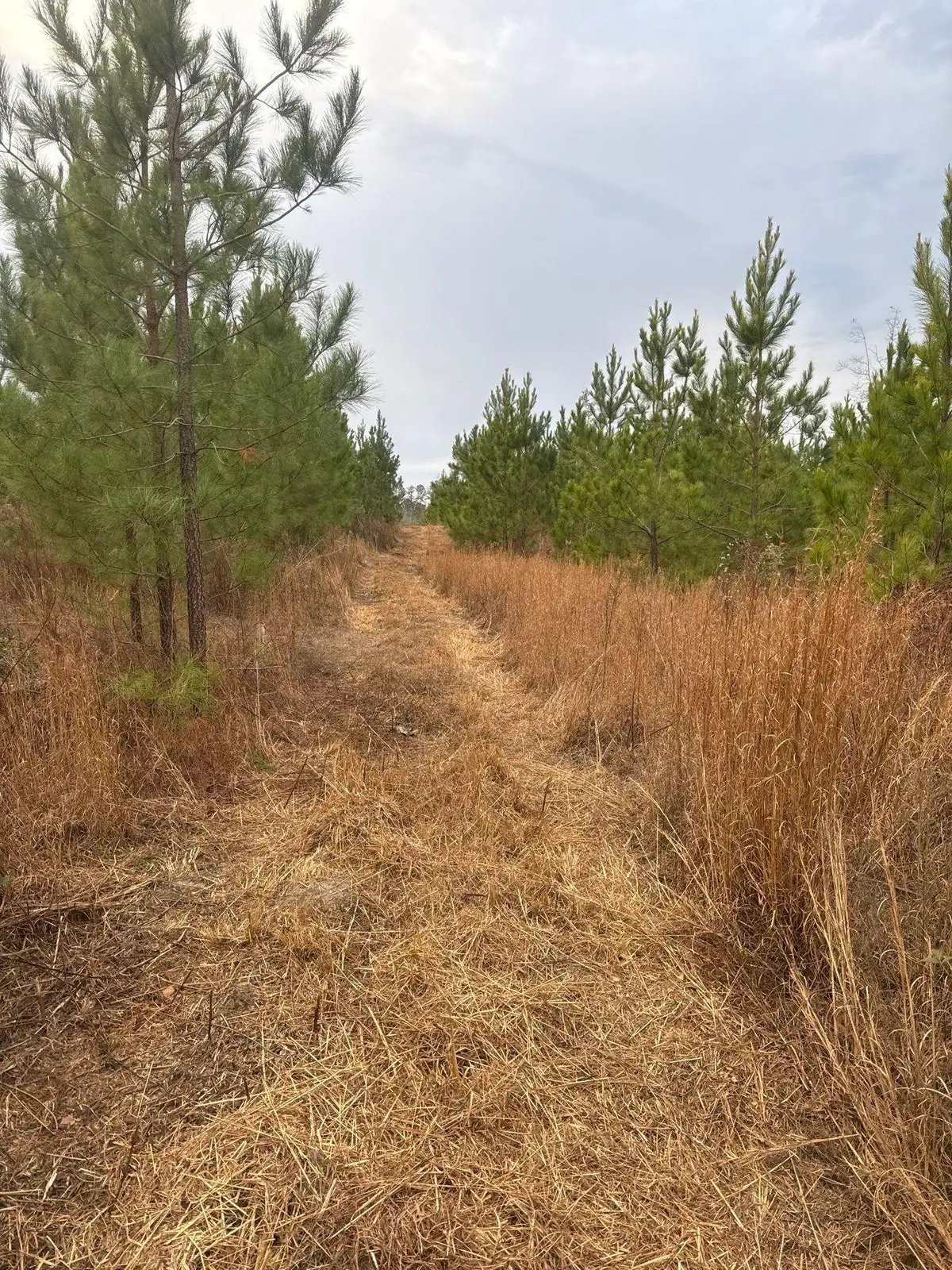 Qbf 12 Nurnberg Dr Road #Qbf 12, Batesburg Leesville, SC 29070 - #1