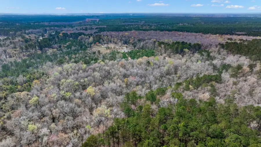 0 Willow Brook Way, Cordesville, SC 29434 - #3