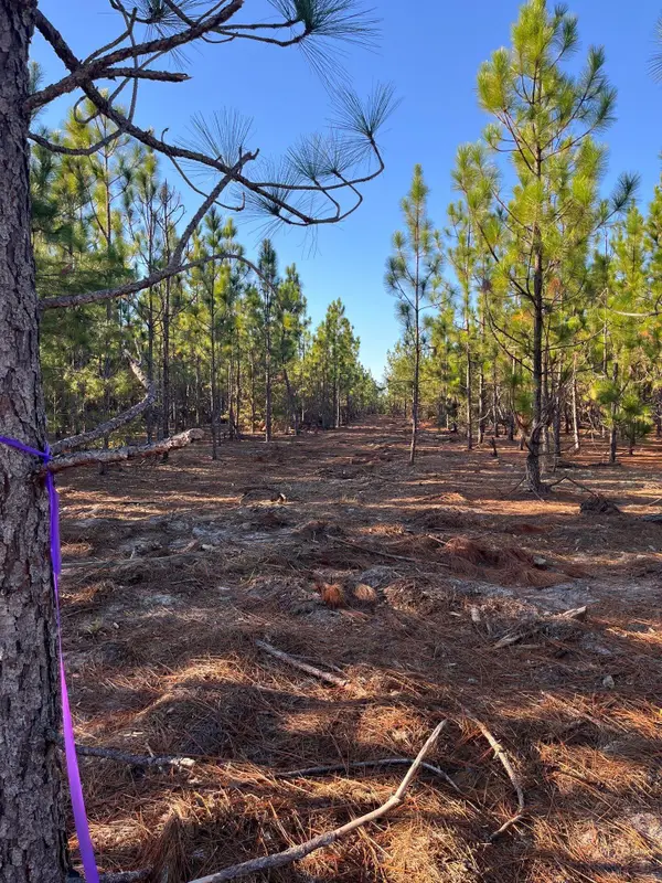 Ppf 14 Payne Pond Road #Ppf 14, Westville, SC 29175