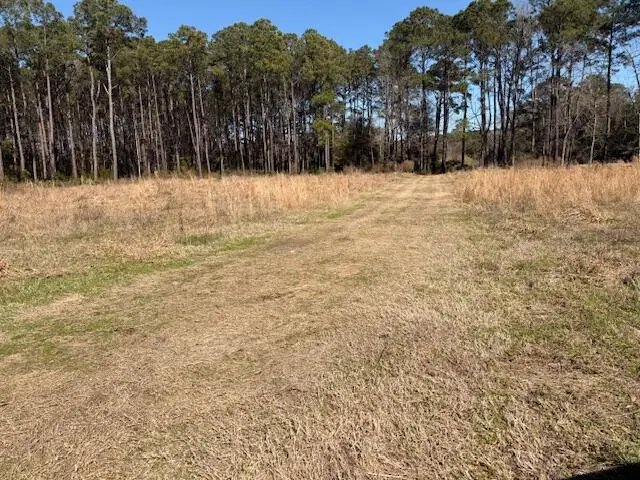 4131 Betsy Kerrison Parkway, Johns Island, SC 29455 - #1