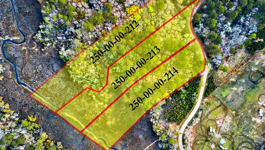 0 Cooke Road #Lot 1, Johns Island, SC 29455 - #2