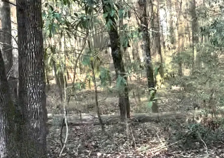 0 Cooke Road #Lot 3, Johns Island, SC 29455 - #2