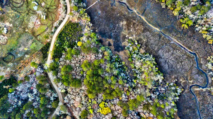 0 Cooke Road #Lot 3, Johns Island, SC 29455 - #3