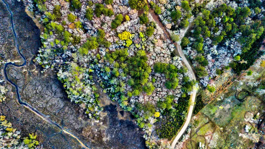 0 Cooke Road #Lot 2, Johns Island, SC 29455 - #2