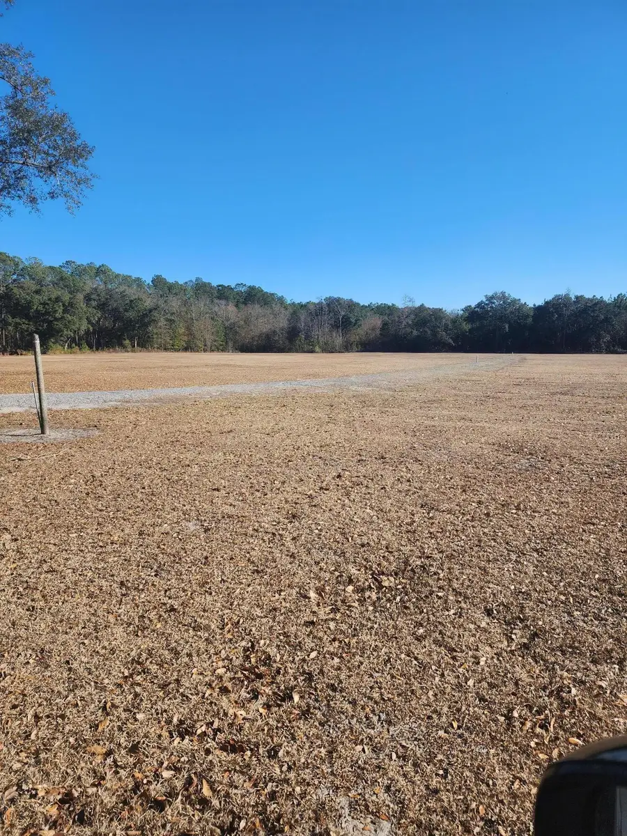 258 Truth Way #Lot 4, Cordesville, SC 29434 - #3