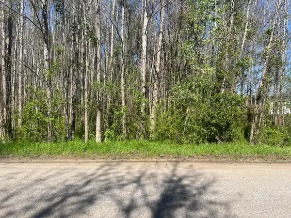 0 Mcnair Drive, Summerton, SC 29148