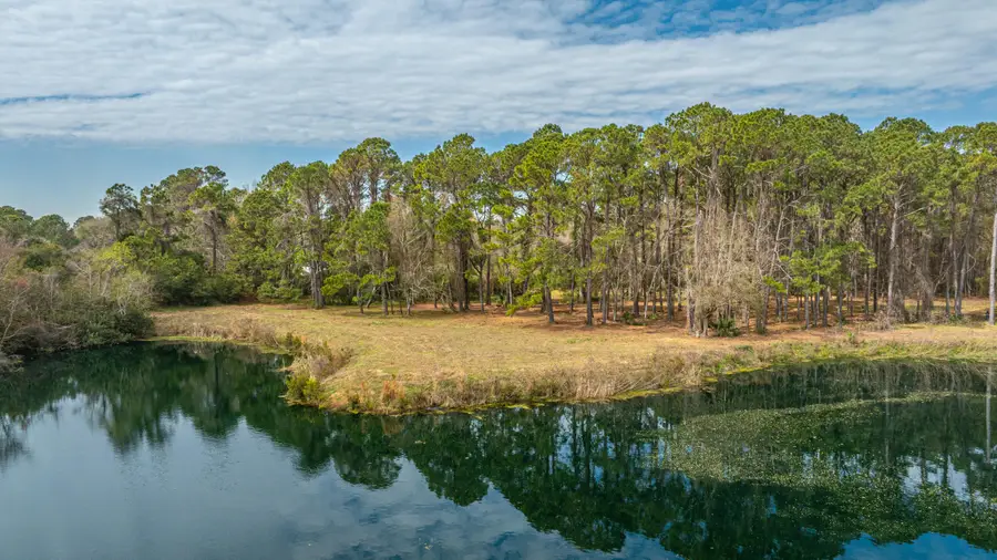 4297 Wild Turkey Way, Johns Island, SC 29455 - #2