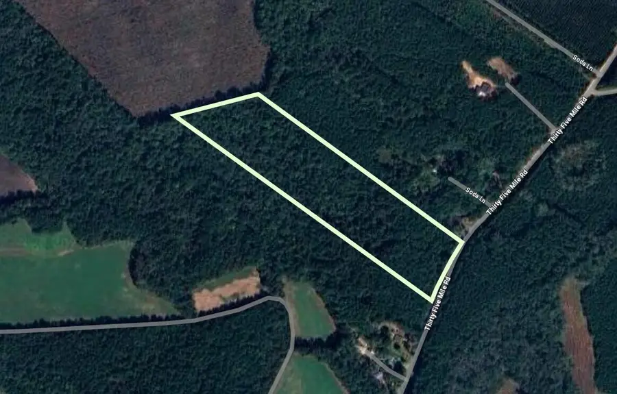 0 Thirty Five Mile Road, Ridgeville, SC 29472 - #2