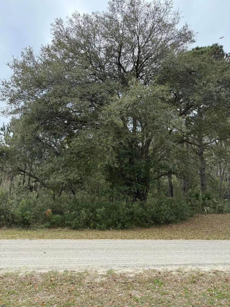 49 Seaside Lane, Edisto Island, SC 29438 - #2